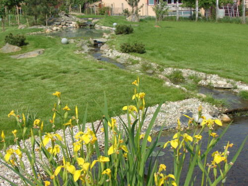 Amenajare cascada si parau