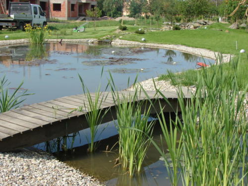 Amenajare cascada si parau 1