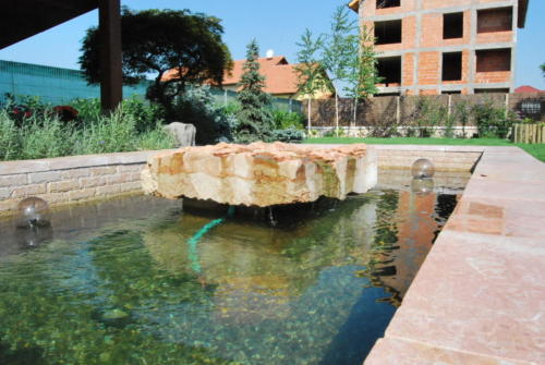 Constructie piscina naturala