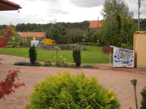 Amenajare spatiu verde cu gazon, plante si zid de piatra