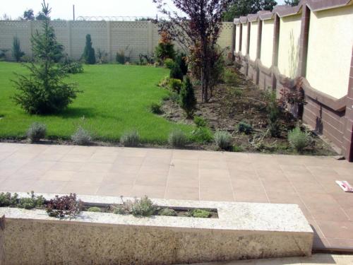 Amenajare spatiu verde curte privata 1