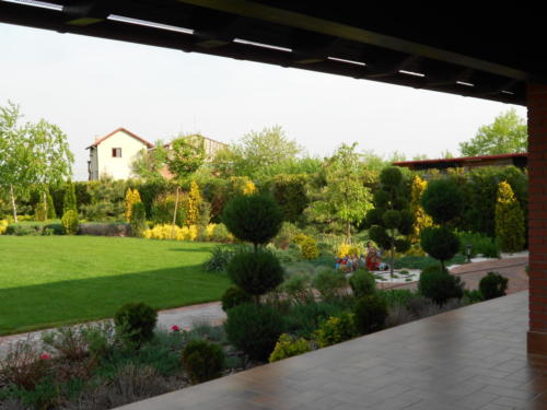 Amenajare spatiu verde in curtea din spate, vedere de pe terasa