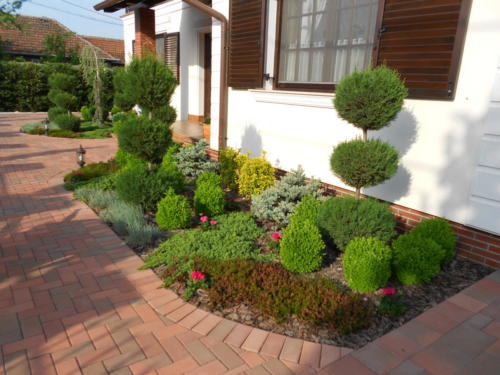 Amenajare spatiu verde in fata casei (3)