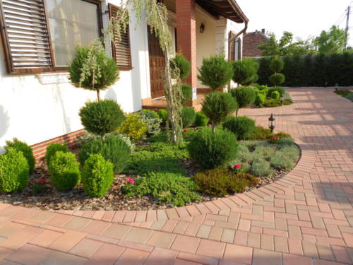 Amenajare spatiu verde in fata casei 1