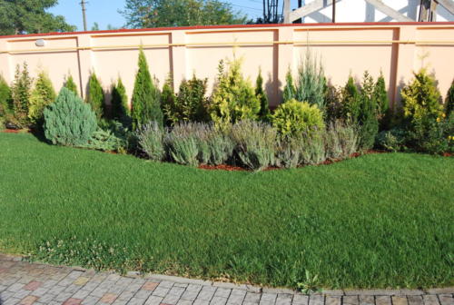 Amenajare zona de plante