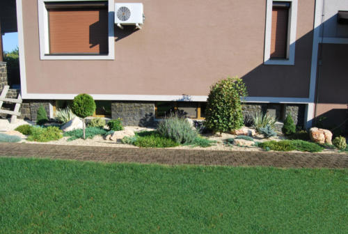 Amenajare zona de plante langa casa